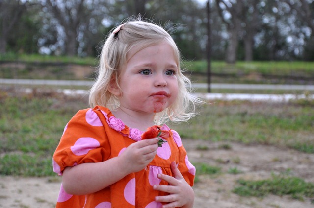 [strawberry love 032611 (22)[3].jpg]