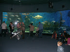 PB040077.JPG