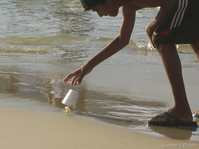 crab
