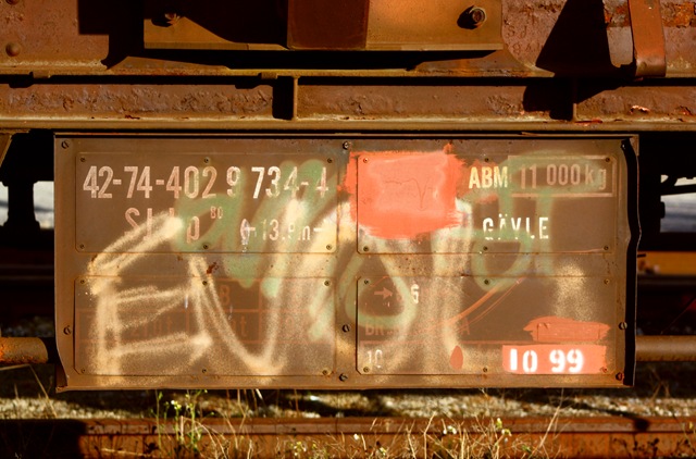 [train[4].jpg]