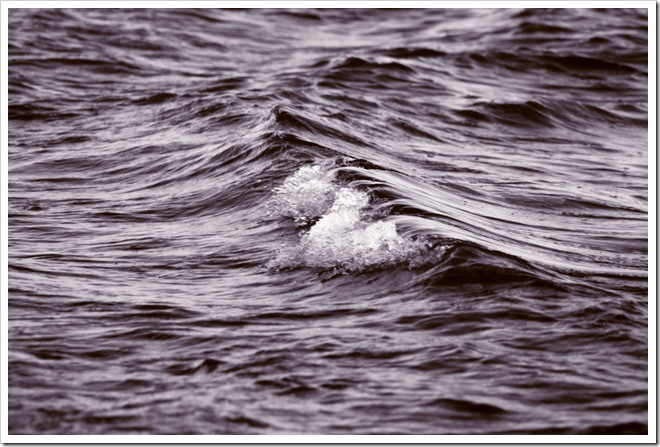 wave