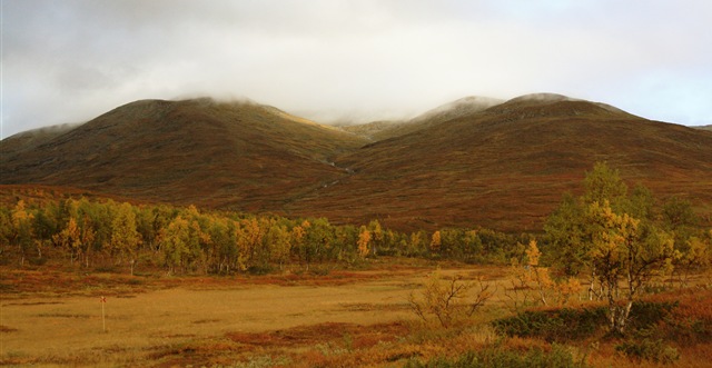 [fjäll[6].jpg]
