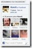 facebook like box facebook like box