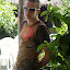 – Ocho Rios, Jamaica – Ocho Rios, Jamaica