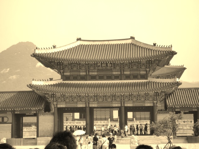 [P1030881[14].jpg]