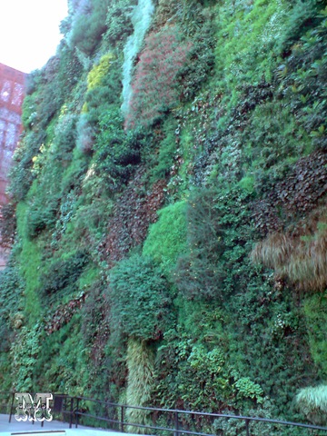 [paseodelosmuseosdondelosjardinescrec[1].jpg]