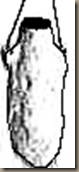 clip_image016[6]