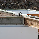 Joists and joist hangers @ ctyrd
