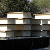 Panel inserts 2/21