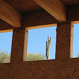 Close-up of saguaro in clerestory window