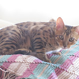 Macho - 4 mos old 3/24