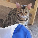 Niña - 4 mos., 5 days old