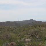 Green desert view 4/16
