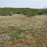 View from driveway 4/18