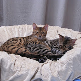 Mach and Neeners 5/8