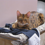 Mach on the hamper 6/28
