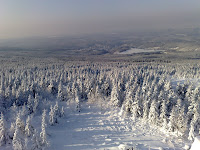 Blick von der Wolfswarte Richtung Altenau