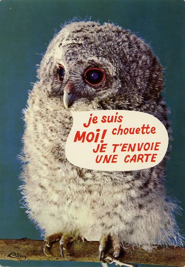 Cartes Postales Pop et  Kitsch des années 50, 70 et 70 - Pop and kitsch vintage postcards from the fifties, the sixties and the seventies : Animaux rigolos