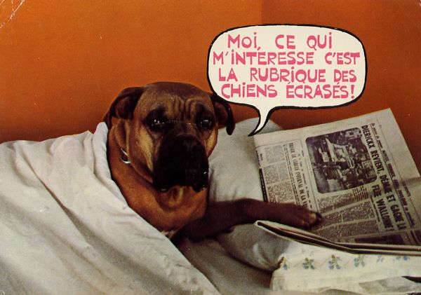 Cartes Postales Pop et  Kitsch des années 50, 70 et 70 - Pop and kitsch vintage postcards from the fifties, the sixties and the seventies : Animaux rigolos