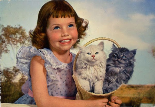 Cartes postales pop et kitsch des annéees 50, 70 et 70