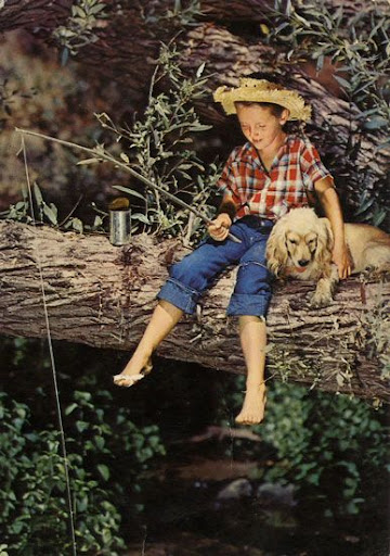 Cartes Postales Pop et  Kitsch des années 50, 70 et 70 Childrens and animals / Enfants et animaux