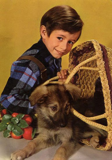 Cartes Postales Pop et  Kitsch des années 50, 70 et 70 Childrens and animals / Enfants et animaux