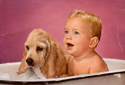 Cartes Postales Pop et  Kitsch des années 50, 70 et 70 Childrens and animals / Enfants et animaux