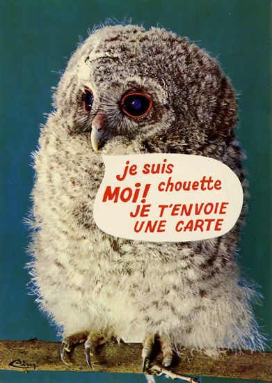 Cartes Postales Pop et  Kitsch des années 50, 70 et 70 - Pop and kitsch vintage postcards from the fifties, the sixties and the seventies : Rions avec les animaux