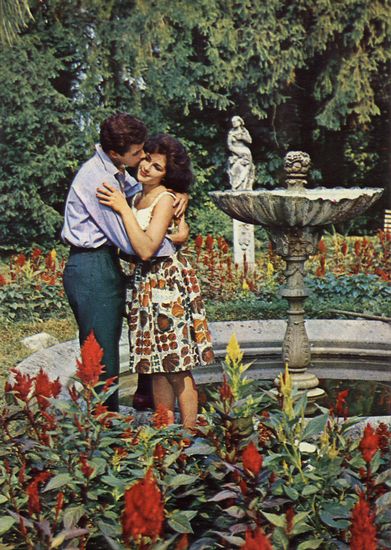 Cartes Postales Pop et  Kitsch des années 50, 70 et 70 - Pop and kitsch vintage postcards from the fifties, the sixties and the seventies : L'amour est dans le pré