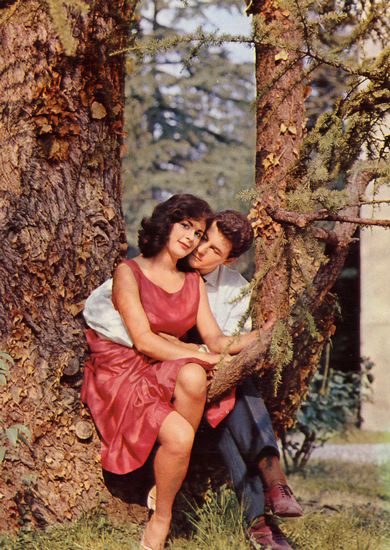 Cartes Postales Pop et  Kitsch des années 50, 70 et 70 - Pop and kitsch vintage postcards from the fifties, the sixties and the seventies : L'amour est dans le pré