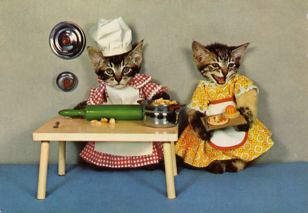 Cartes Postales Pop et Kitsch des années 50, 70 et 70 - Pop and kitsch vintage postcards from the fifties, the sixties and the seventies : Une vie de chien