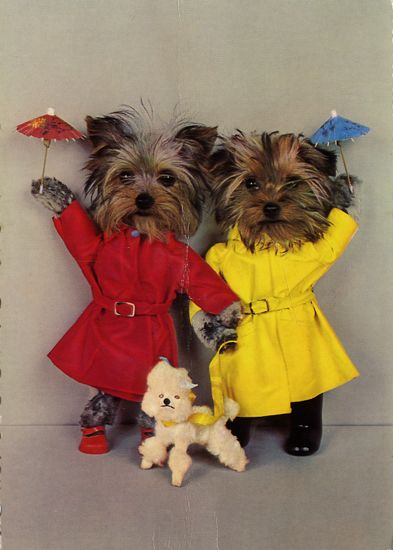 Cartes Postales Pop et Kitsch des années 50, 70 et 70 - Pop and kitsch vintage postcards from the fifties, the sixties and the seventies : Une vie de chien