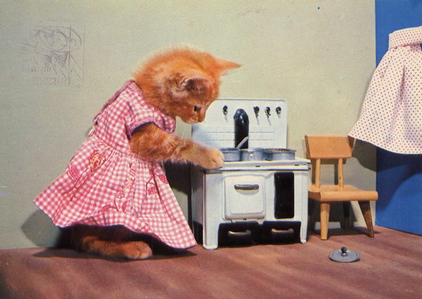 Cartes Postales Pop et Kitsch des années 50, 70 et 70 - Pop and kitsch vintage postcards from the fifties, the sixties and the seventies : Une vie de chien