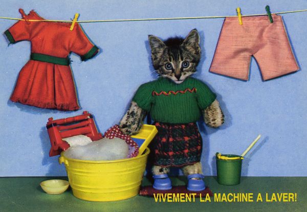 Cartes Postales Pop et Kitsch des années 50, 70 et 70 - Pop and kitsch vintage postcards from the fifties, the sixties and the seventies : Une vie de chien