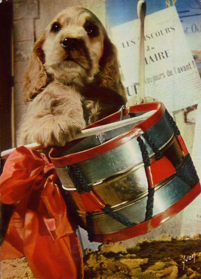 Cartes Postales Pop et Kitsch des années 50, 70 et 70 - Pop and kitsch vintage postcards from the fifties, the sixties and the seventies : Chiens et chats fort occupés