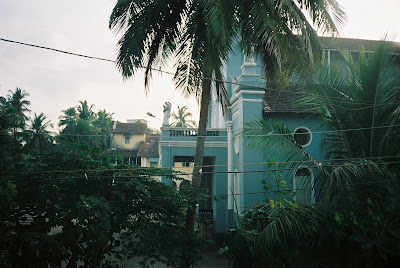 angel veiw 4m rose villa