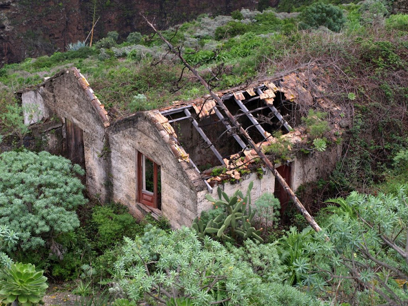 Photo de   Los Silos - cuevas negras - Las Moradas - Los Silos