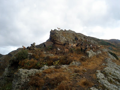 argazkia Tenerife. Barranco de Ijuana