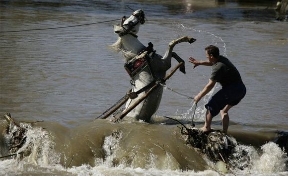 best_photos3.jpg