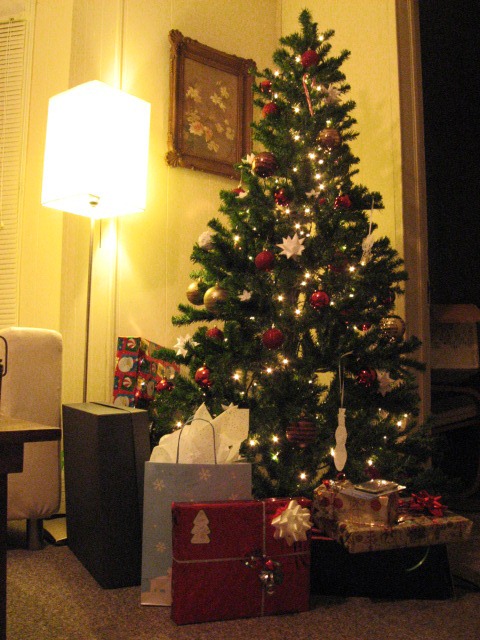 [Christmas 2009 012[6].jpg]