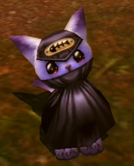 kitty