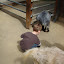 DSC02310.JPG