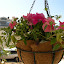 DSCN3414.JPG