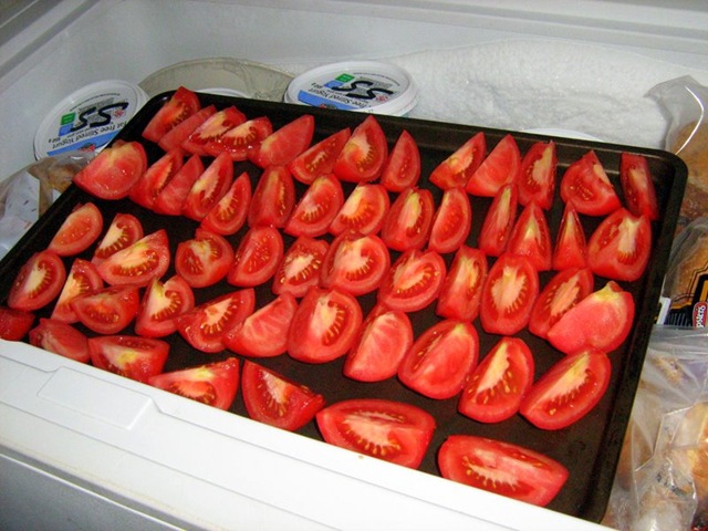 [neti toms[2].jpg]