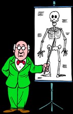 skeleton1