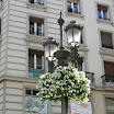 IMG_1660.JPG