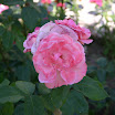 IMG_2001.JPG