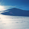 alaska_00_husky_14.jpg
