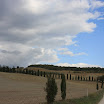 IMG_4922.JPG