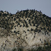 IMG_6801.JPG